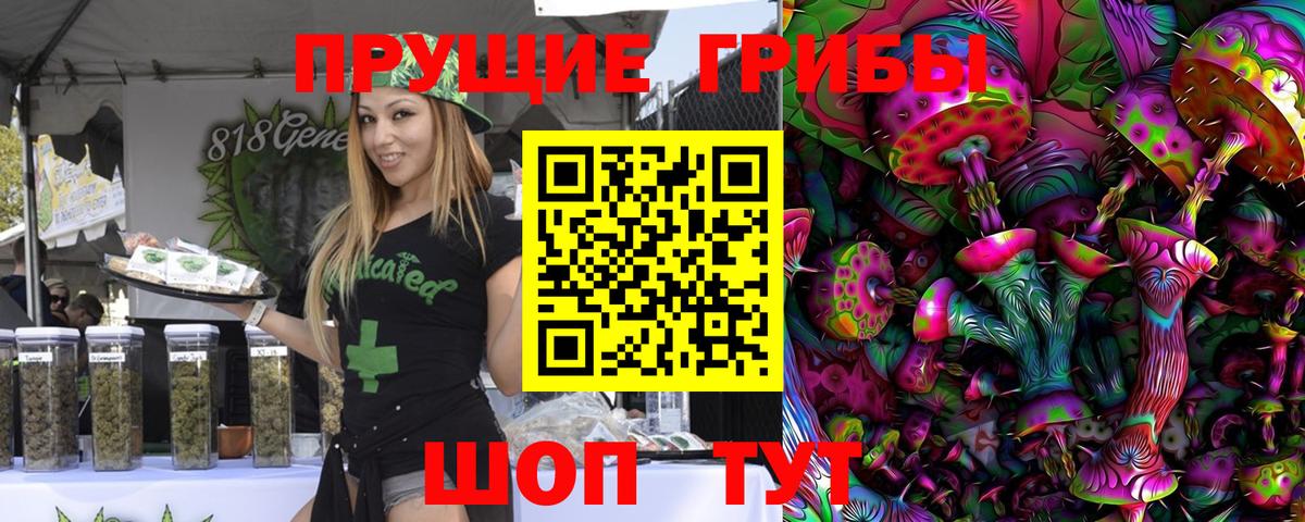 как найти   Вход с VPN  Бугуруслан  Галлюциногенные грибы Psilocybine cubensis 